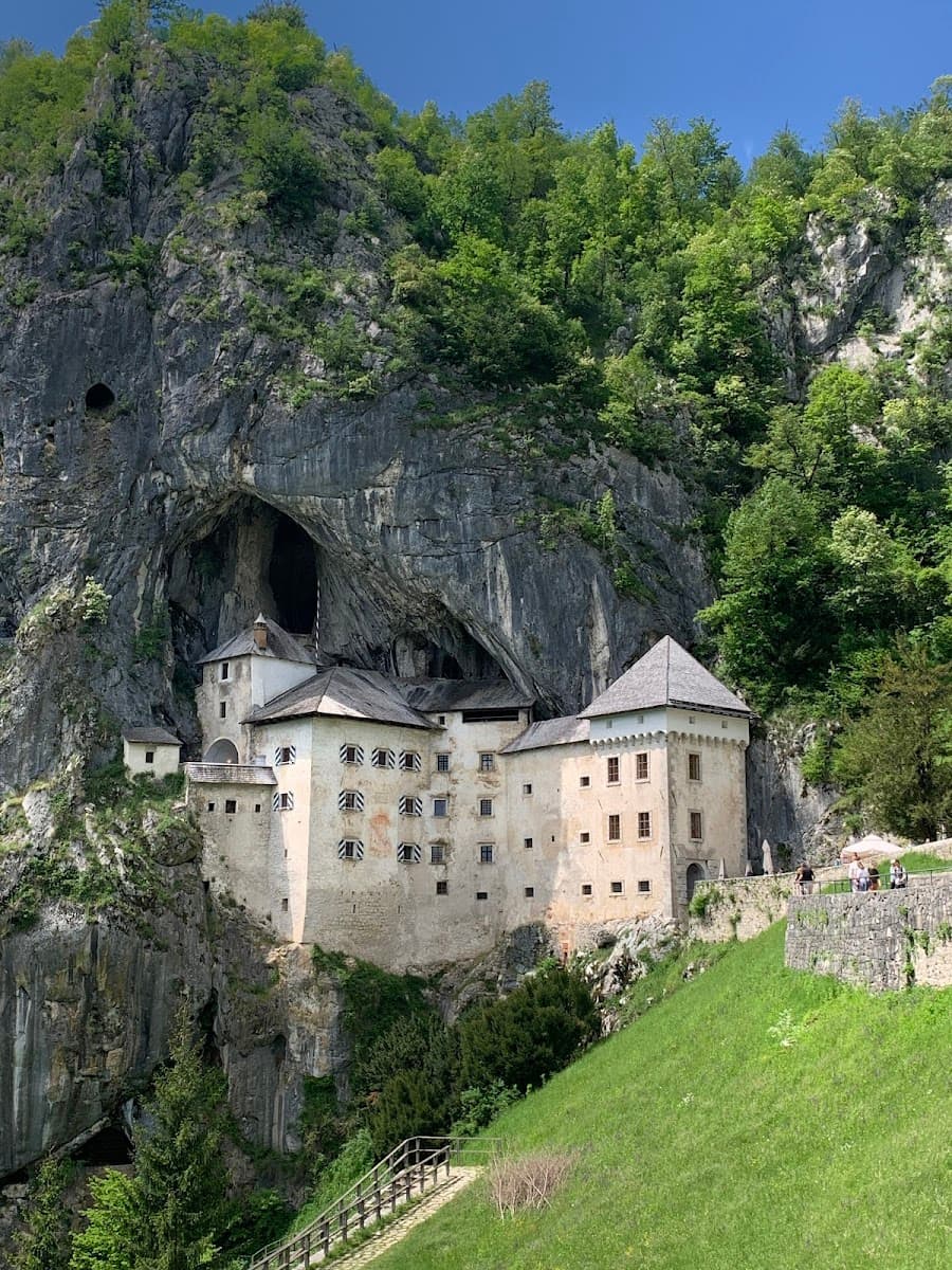 Castle built into a cliff face with a large cave entrance above, surrounded by green forest.