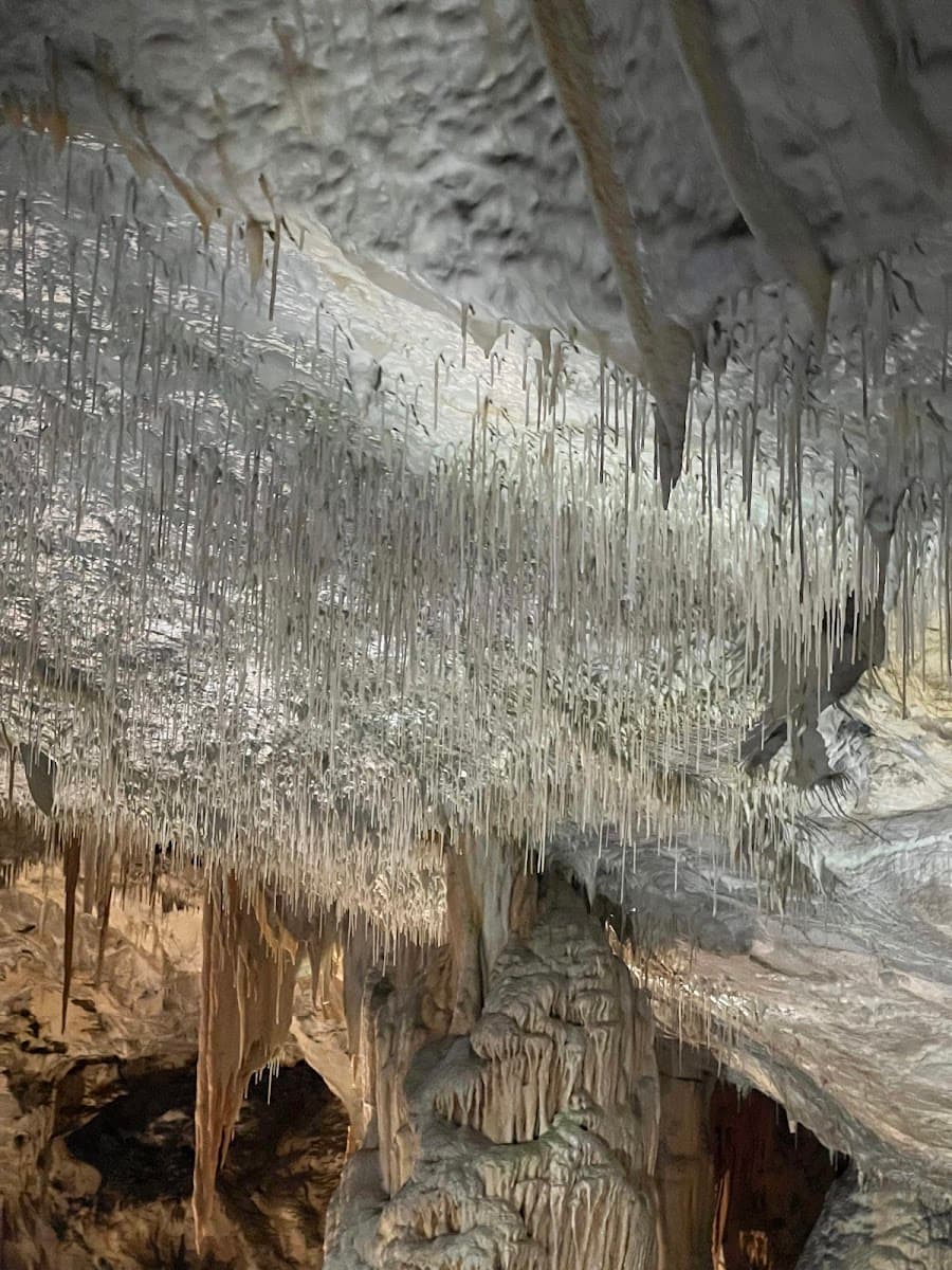 Dense formation of white soda straw stalactites hanging from a cave ceiling over rock formations.