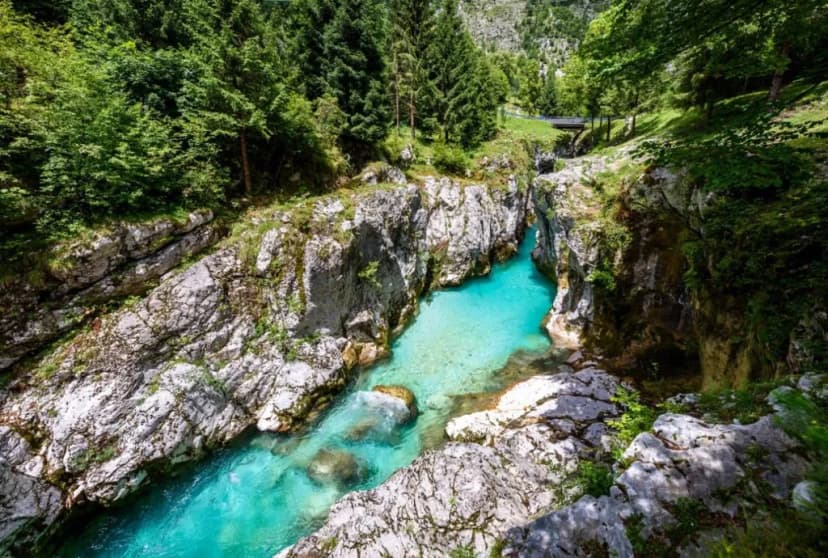 Turquoise river flowing through a rocky gorge surrounded by dense green forest, Soca River.