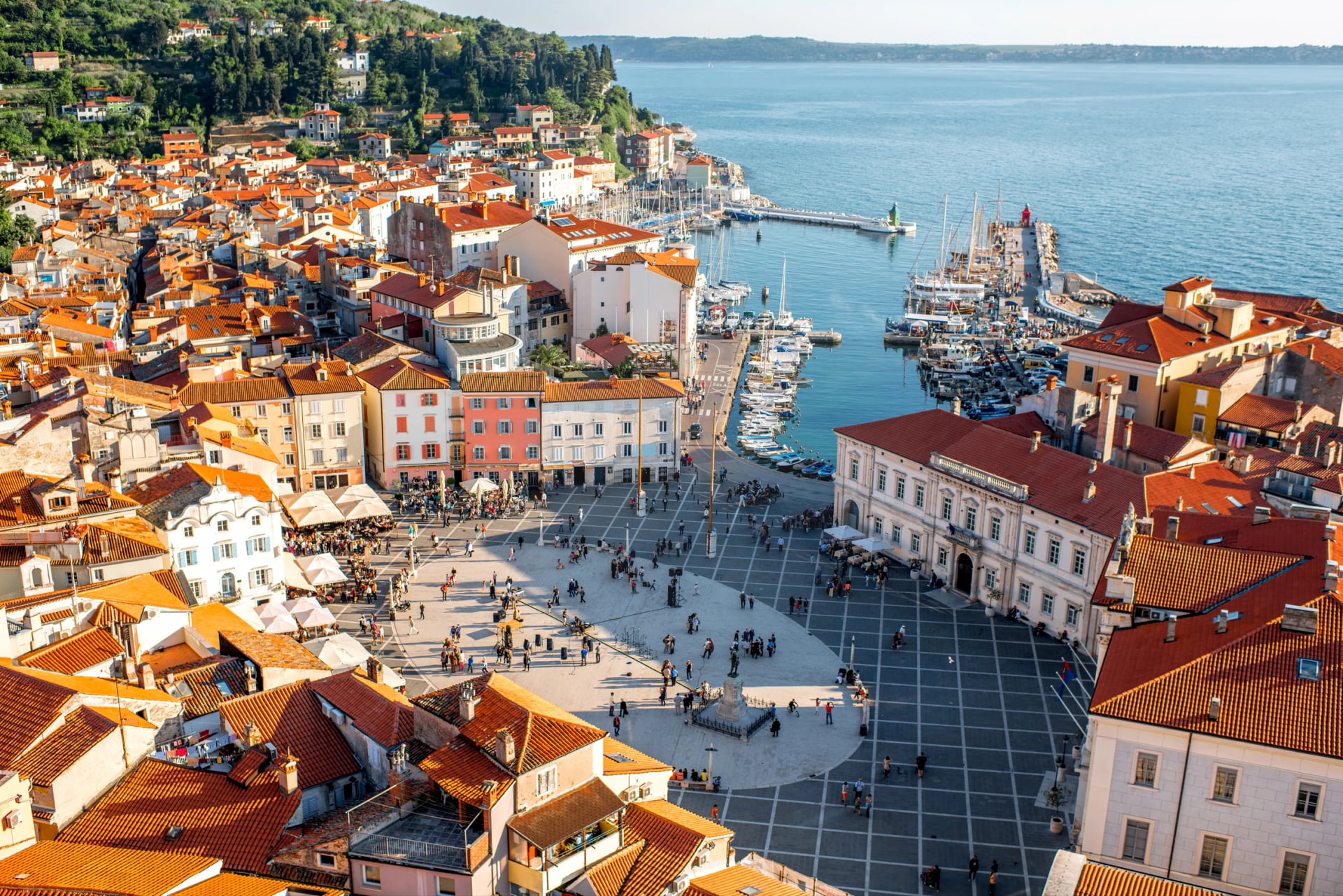 Vakker luftfoto av Piran by med Tartini hovedtorg, gamle bygninger med røde tak og Adriaterhavet i det sørvestlige Slovenia