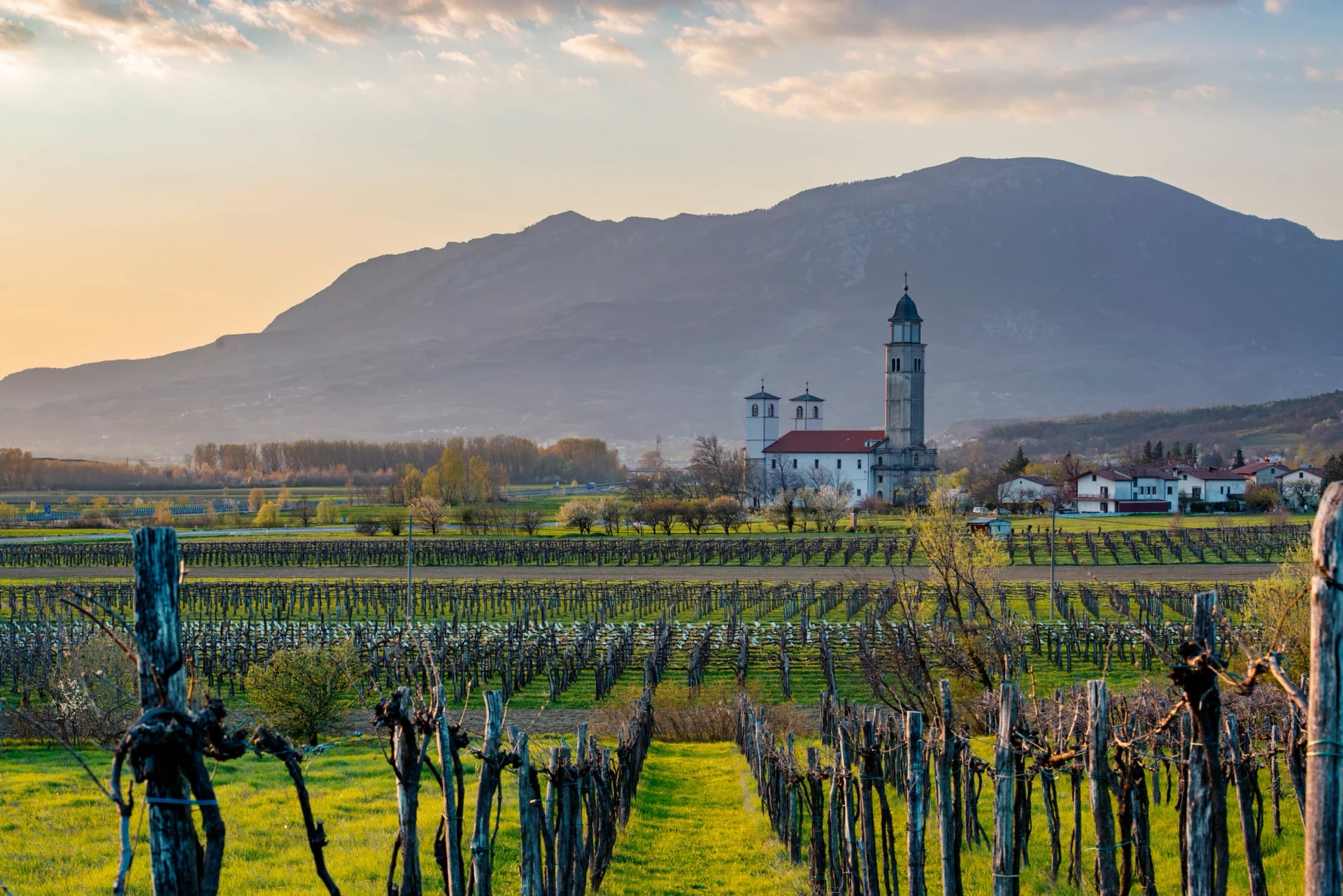 Vakker kveldslandskap i Vipava-dalen, Slovenia