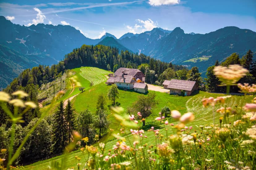 Mountain landscape, Alps in Slovenia with farm and blooming meadows