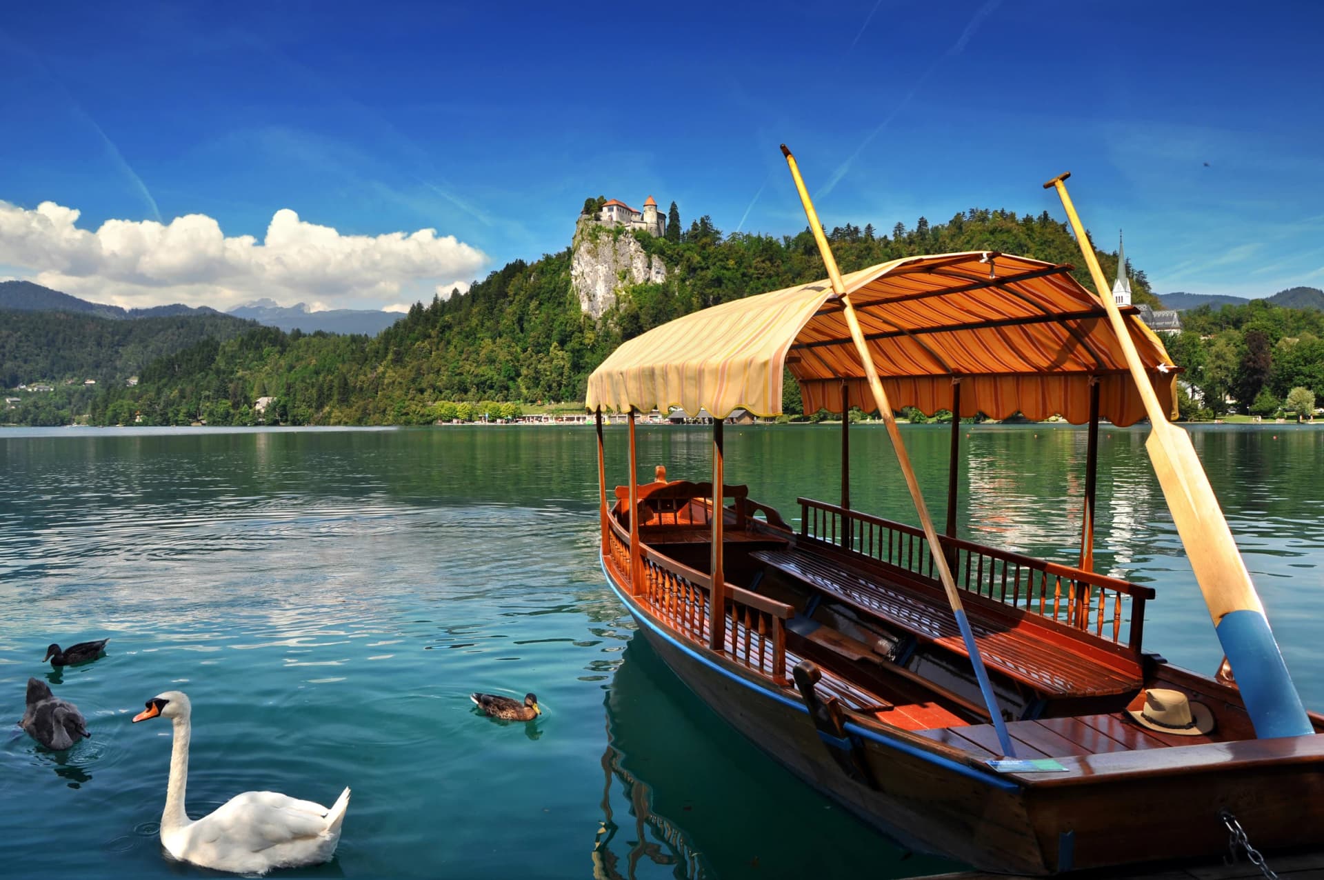 Bled lake Slovenia,Europe.Traditional Pletna boat on the lake with swans. In the background is the famous old castle on the cliff