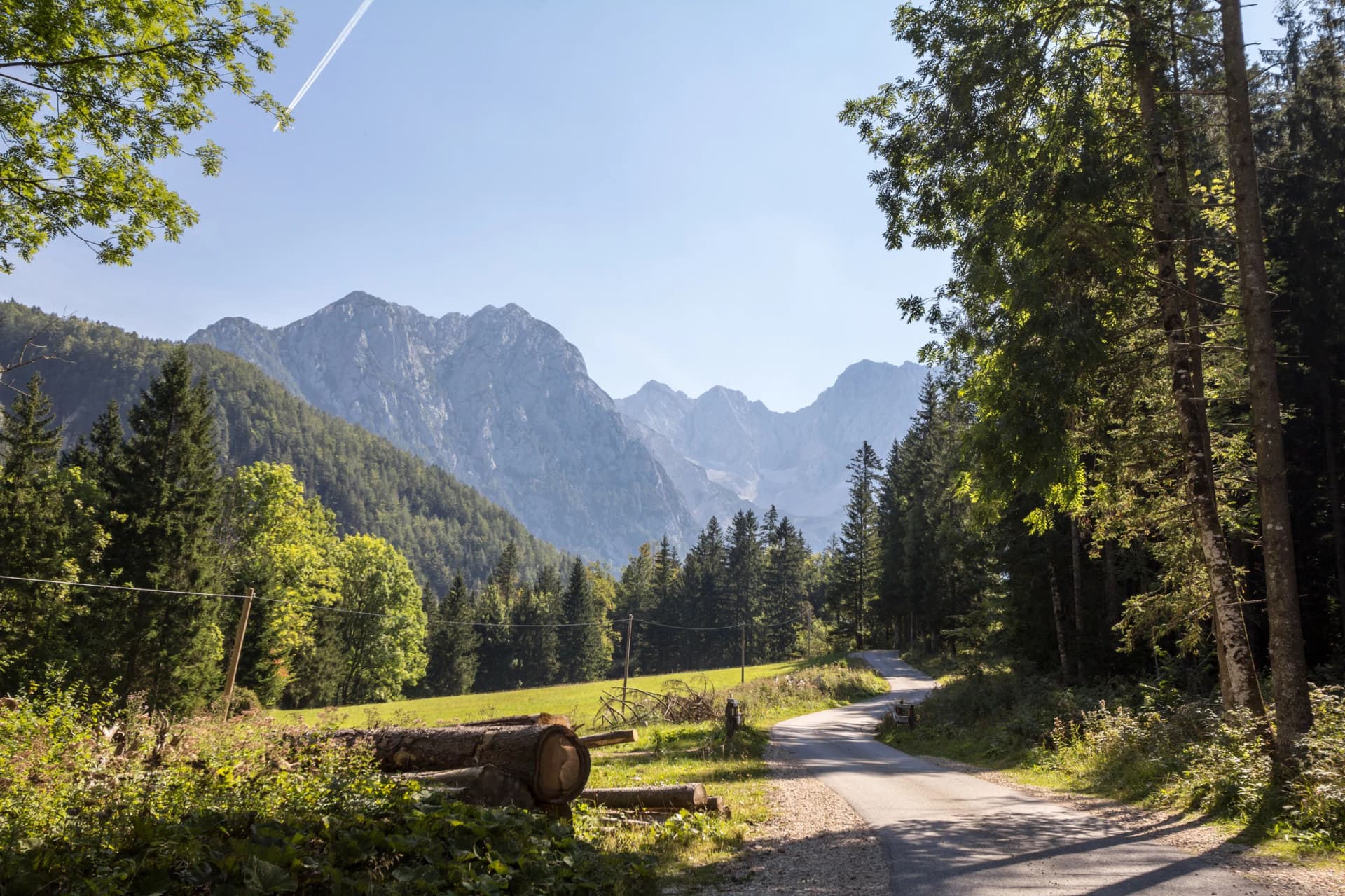 Hiking trail going through a pin and fir wood forest in the middle of an alpine mountain background in the julian alps in slovenia, during as sunny summer afternoon, with a glade in background. .....