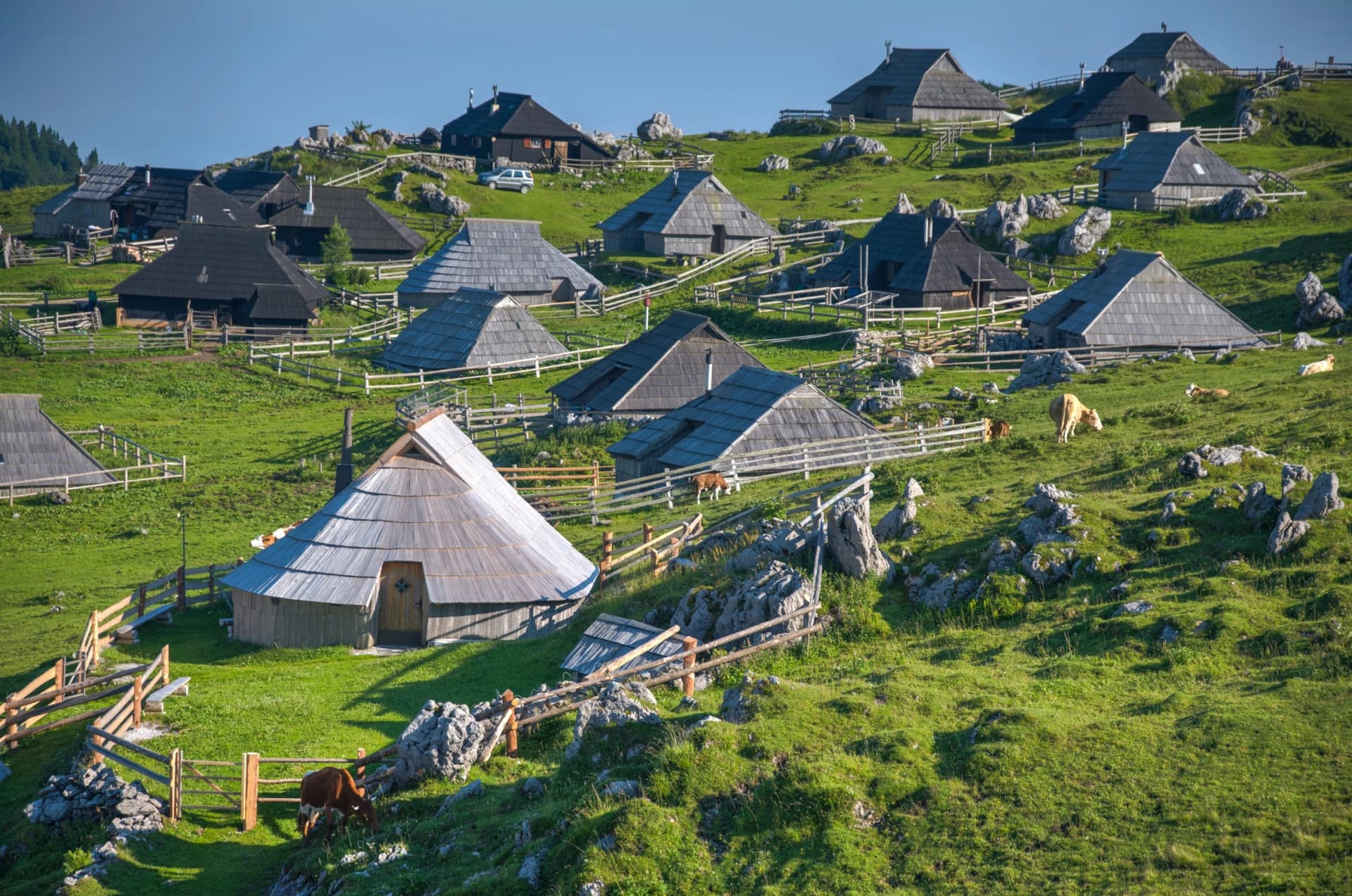 Velika Planina Alpine Meadow