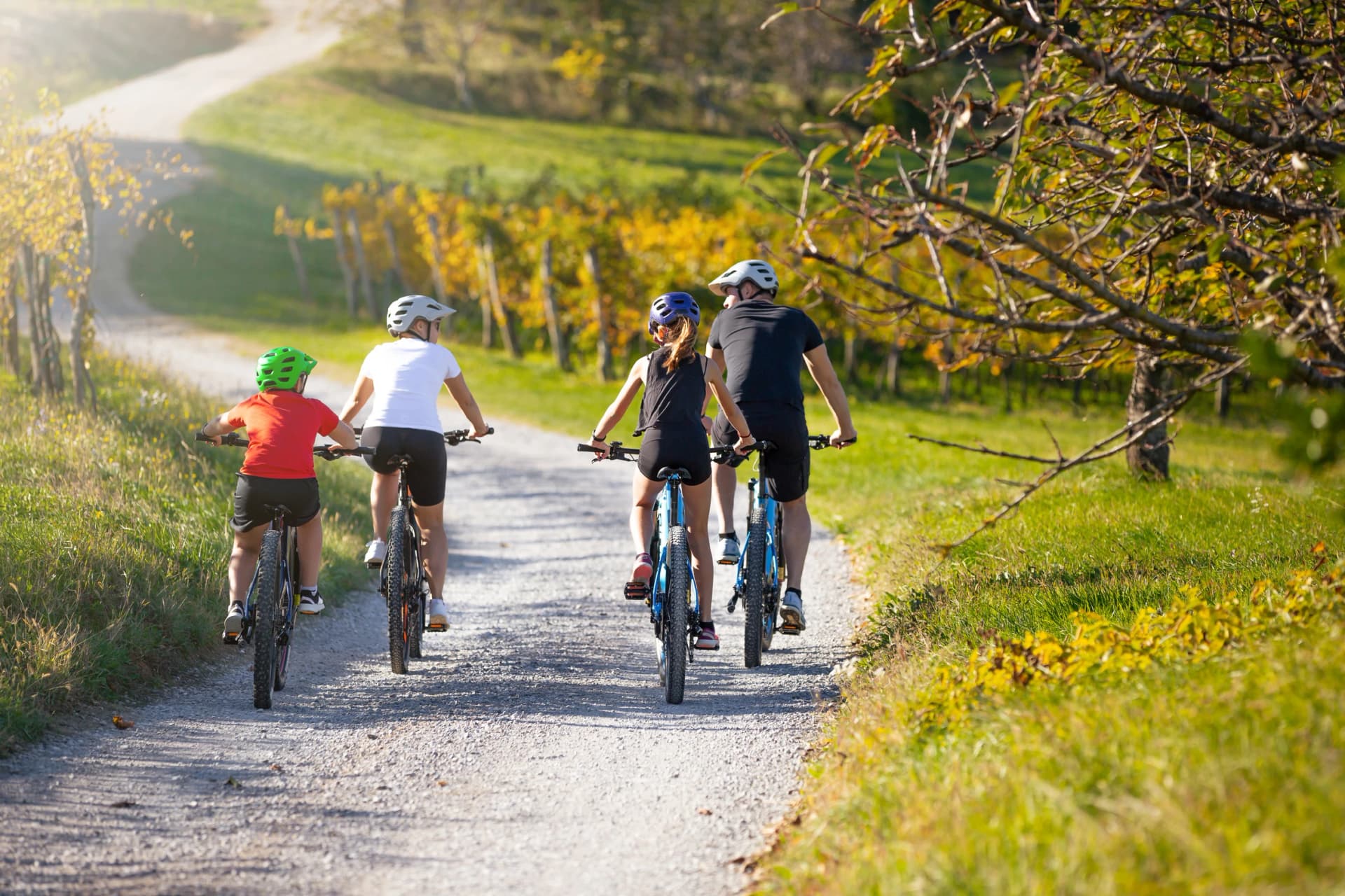 Family of four riding e-bikes in beautiful nature , vineyards
