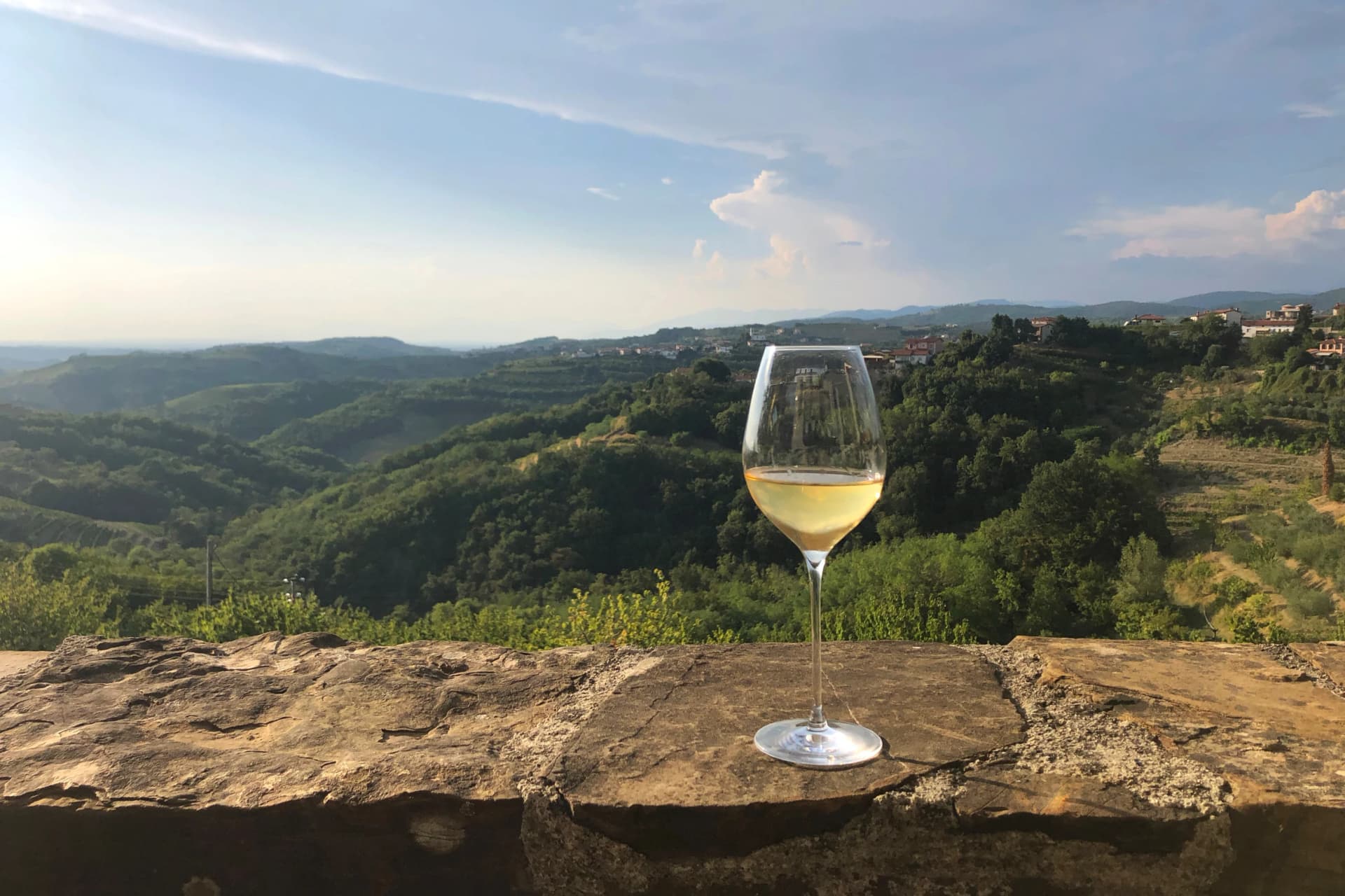 White Wine Culture in Western Slovenia. Beautiful Green Hills Landscape in Background during Summer. Šmartno, Brda, Slovenia