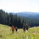 Fotturer på Pokljuka-platået