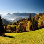Den praktfulle Pokljuka
