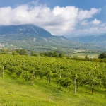 Vipava vallei in Gorice, Slovenië